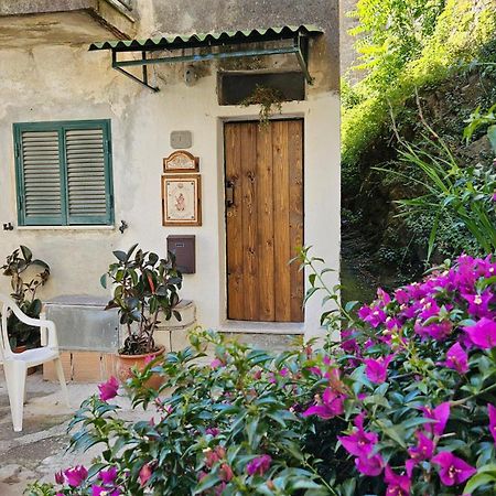 Appartamento Nel Borgo - Casa Del Pellegrino Sulla Via Francigena Aulla Exteriör bild